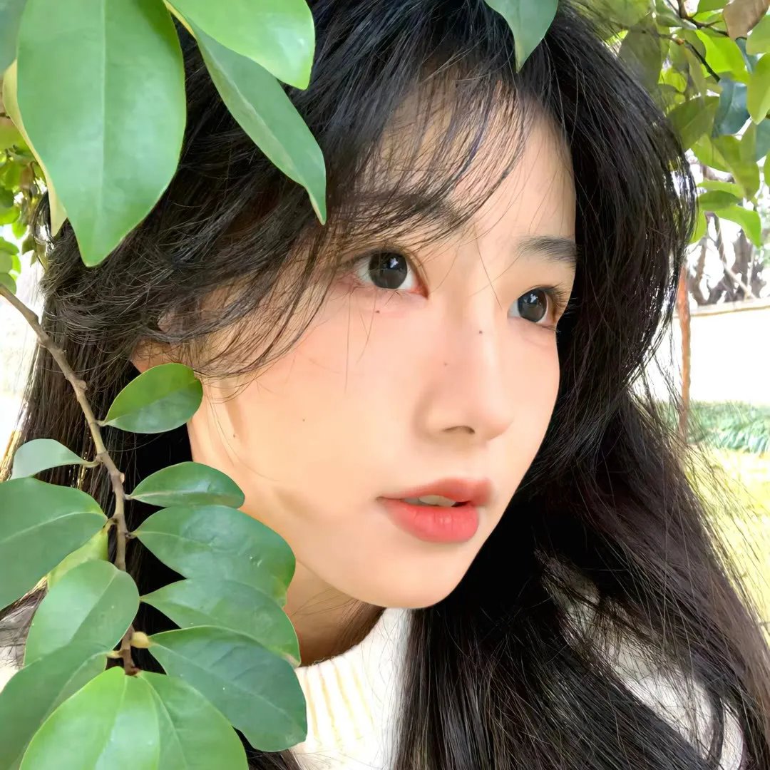 环法心节奏